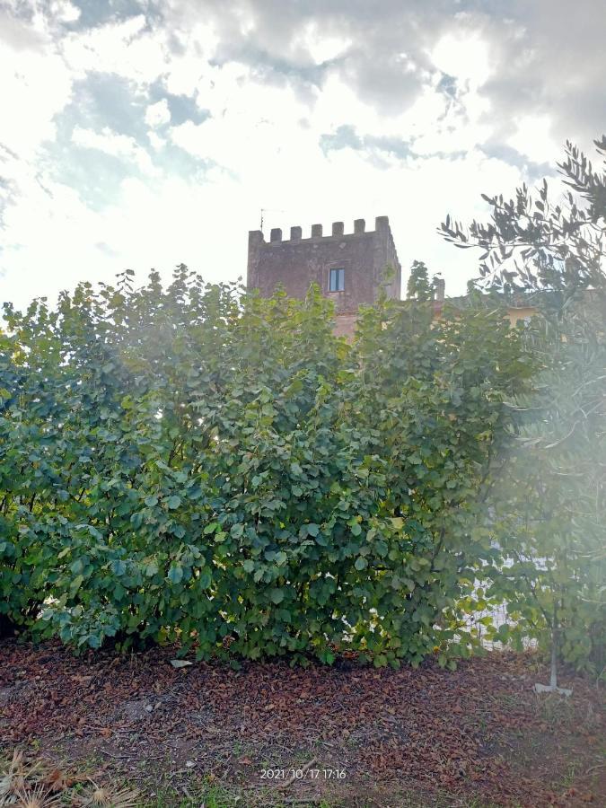 La Torre di Barbara Villa Ardea Bagian luar foto